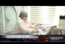 В Шымкенте родился ребенок весом почти 7 килограммов В Шымкенте родился ребенок весом почти 7 килограммов