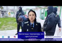 За пропаганду терроризма и вербовку осужден житель Шымкента За пропаганду терроризма и вербовку осужден житель Шымкента