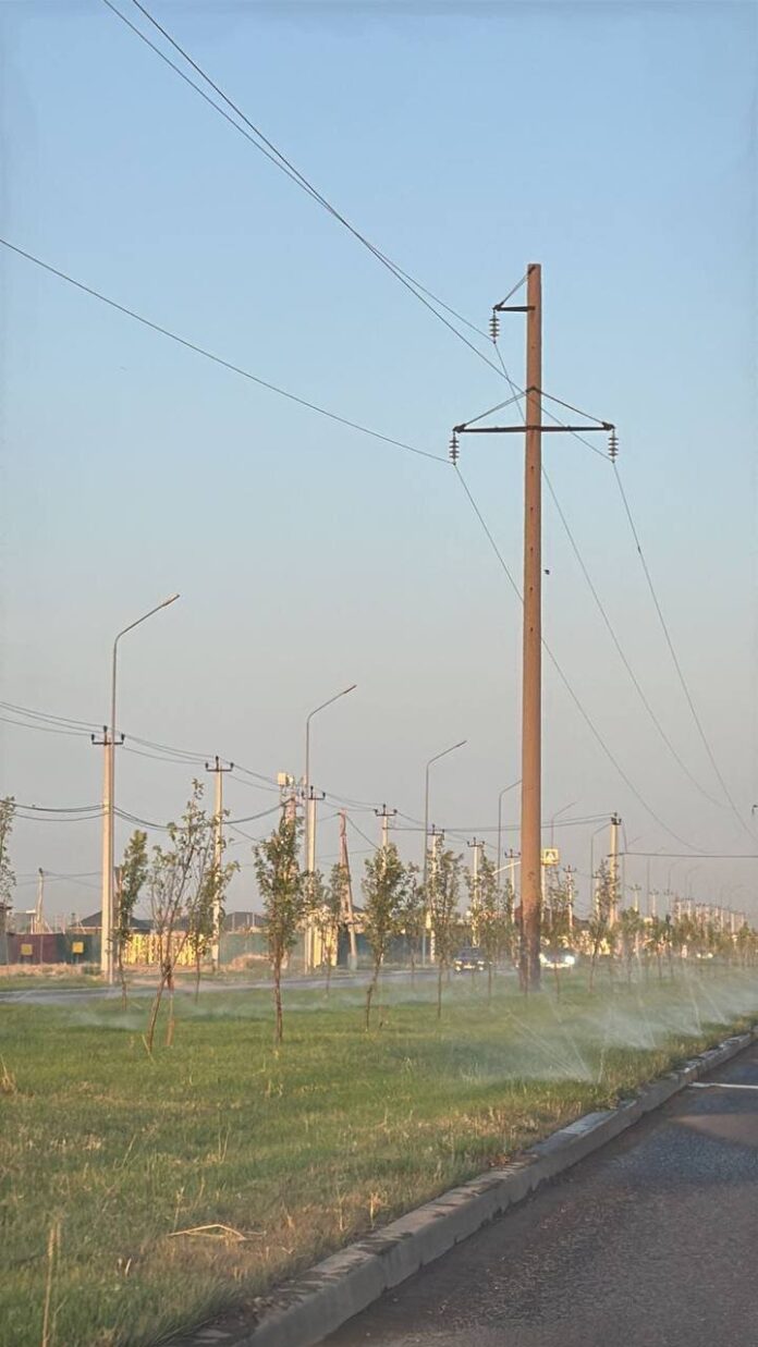 озеленение