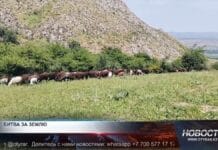 В Тюлькубасском районе сельчане конфликтуют из-за земельного спора Конфликт из-за земельного спора в Тюлькубасском районе