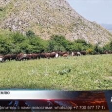 В Тюлькубасском районе сельчане конфликтуют из-за земельного спора Конфликт из-за земельного спора в Тюлькубасском районе
