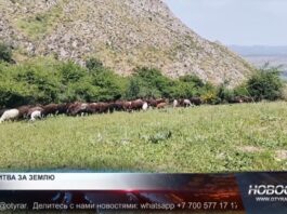 Конфликт из-за земельного спора в Тюлькубасском районе