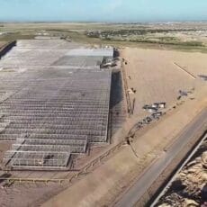 В Шымкенте строят крупнейший тепличный комплекс В Шымкенте строят крупнейший тепличный комплекс