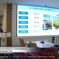 Туркестанская область претендует на право лидера в области рыбного хозяйства Туркестанская область претендует на право лидера в области рыбного хозяйства