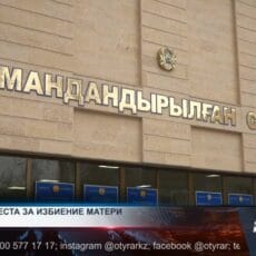 12 суток за решеткой за избиение матери 12 суток за решеткой за избиение матери