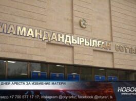 12 суток за решеткой за избиение матери