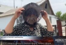 Мошки жалят до слёз жителей Отырарского района Мошки жалят до слёз жителей Отырарского района