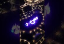 Музыка, свет и вода: в Шымкенте открыли мультимедийный фонтан будущего В Шымкенте открыли мультимедийный фонтан будущего