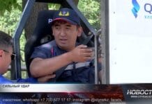 Как один щелчок может спасти жизнь Ремень безопасности щит между жизнью и смертью