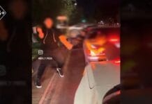 В Шымкенте наказали устроивших «ночной клуб» на колёсах В Шымкенте наказали устроивших «ночной клуб» на колёсах