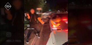 В Шымкенте наказали устроивших «ночной клуб» на колёсах В Шымкенте наказали устроивших «ночной клуб» на колёсах