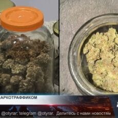 83 нарколаборатории и 20 ОПГ пресекли за 4 месяца с начала года 83 нарколаборатории и 20 ОПГ пресекли за 4 месяца с начала года