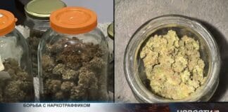 83 нарколаборатории и 20 ОПГ пресекли за 4 месяца с начала года 83 нарколаборатории и 20 ОПГ пресекли за 4 месяца с начала года