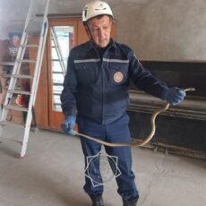 В Шымкенте спасатели продолжают ловить змей в жилых домах Спасатели МЧС поймали змею в жилом доме