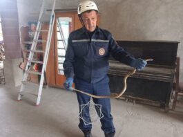 Спасатели МЧС поймали змею в жилом доме