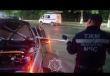 Жители Шымкента всё чаще встречают змей в своих домах и на улице Спасатели поймали двух змей в Шымкенте