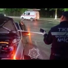 Жители Шымкента всё чаще встречают змей в своих домах и на улице Спасатели поймали двух змей в Шымкенте