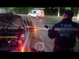 Спасатели поймали двух змей в Шымкенте