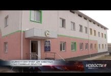 Приют для животных в Шымкенте стал режимным объектом Приют для животных в Шымкенте стал режимным объектом