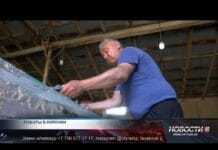 Осужденный жалуется на нарушение прав в колонии №56 Шымкента Осужденный жалуется на нарушение прав в колонии №56 Шымкента