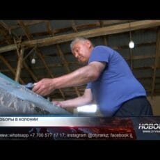 Осужденный жалуется на нарушение прав в колонии №56 Шымкента Осужденный жалуется на нарушение прав в колонии №56 Шымкента