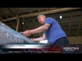 Осужденный жалуется на нарушение прав в колонии №56 Шымкента