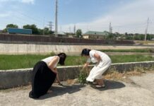 Молодежь Шымкента вышла на очистку берегов реки Бадам Молодежь Шымкента вышла на очистку берегов реки Бадам