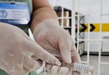 В Шымкенте вакцины от укусов каракурта достаточно