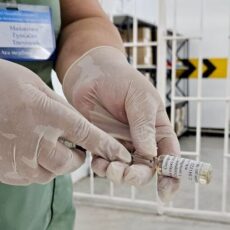 В Шымкенте вакцины от укусов каракурта достаточно