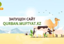 Запущен сайт для дистанционного проведения обряда жертвоприношения Запущен сайт для дистанционного проведения обряда жертвоприношения