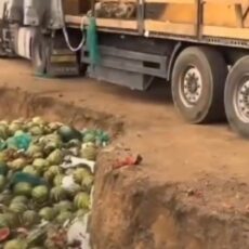 Фуру арбузов выбросили в яму в Шымкенте Фуру арбузов выбросили в яму