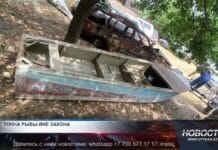 Тонны рыбы вне закона Незаконный лов рыбы