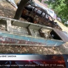 Тонны рыбы вне закона Незаконный лов рыбы