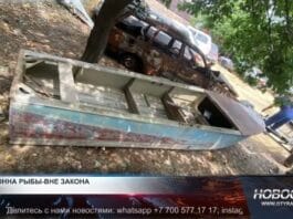 Незаконный лов рыбы