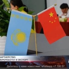 Аграрное партнерство: ставка на переработку и экспорт Туркестанская область укрепляет сотрудничество с Китаем