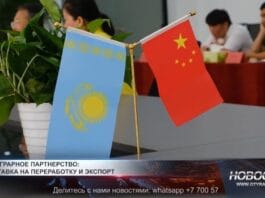 Туркестанская область укрепляет сотрудничество с Китаем