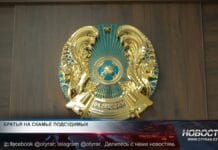 Родные братья пошли на убийство — теперь сядут вместе и надолго Герб Казахстана в суде