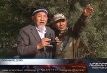 Когда природа — как дом, а лес — как семья Семья лесников: любовь и преданность живой экосистеме