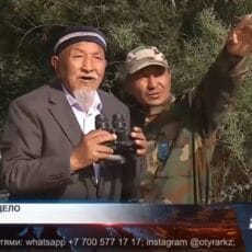 Когда природа — как дом, а лес — как семья Семья лесников: любовь и преданность живой экосистеме