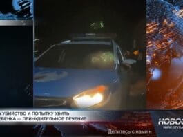 16-летняя девушка обвиняется в убийстве 3-летнего ребёнка и покушении на убийство 5-летней девочки