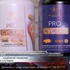 PROСУСТАВ — надёжное решение при болях в суставах Препарат PROСУСТАВ