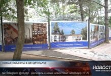 Библиотека и дом шахматистов появятся в шымкентском дендропарке Новые объекты в дендропарке Шымкента