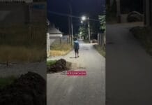 В Шымкенте Лёша научился не бояться: история особенного мальчика В Шымкенте Лёша научился не бояться