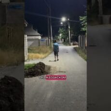 В Шымкенте Лёша научился не бояться: история особенного мальчика В Шымкенте Лёша научился не бояться