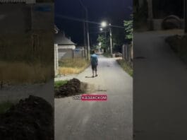 В Шымкенте Лёша научился не бояться