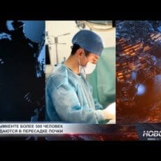 В Шымкенте более 500 человек нуждаются в пересадке почки Пересадка почки