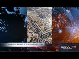 За чистку ковра во дворе можно попасть под статью