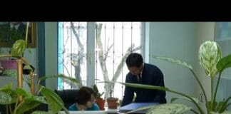 Коррупция, халатность, бездействие: что подрывает доверие к госорганам? Госслужащие