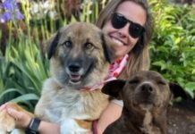 Две собаки из шымкентского отлова перебрались к новым хозяевам в США Шымкентские собаки в США