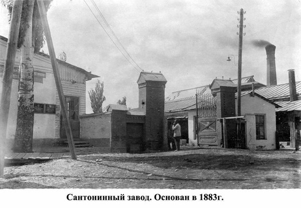 Шымкент қаласындағы санонсейн зауыты,